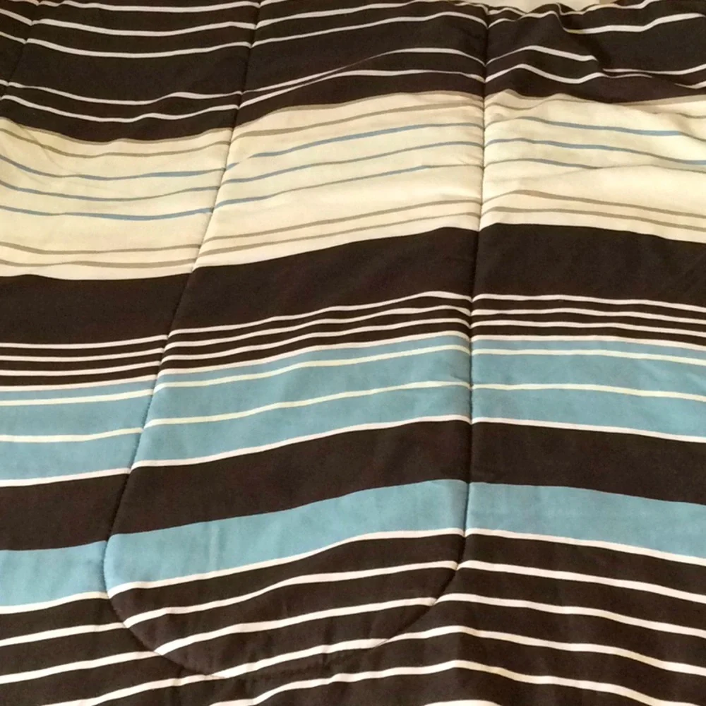 Full Size Comforter with Coordinating Throw Pillow